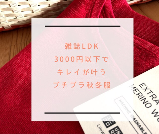 【雑誌LDK】3000円以下で”キレイが叶う”プチプラ秋冬服はこれ！